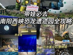 -中国西峡恐龙遗迹园