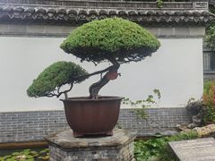 -水绘园
