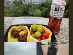 -阳台山森林公园