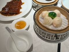 -南海渔村(珠江新城店)