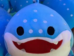 -上海海洋水族馆