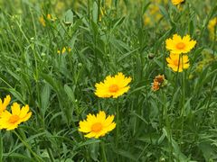 -舍利塔滩地公园-无垢净光舍利塔