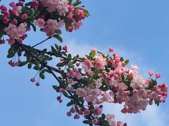 -四川大学(望江校区)