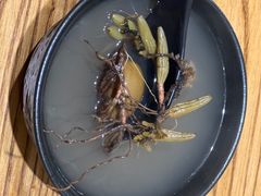 -花二家·生活馆(六运小区店)