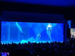 -上海海昌海洋公园-冰山北极馆