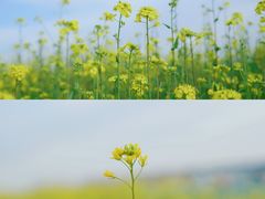 -郑东新区龙湖公共艺术中心