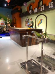 -未来动物城动物主题公园(大悦城店)