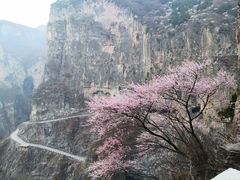-太行锡崖沟旅游度假区