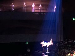 -水秀国际大剧院