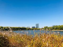 -大兴滨河森林公园