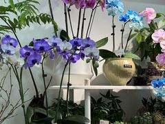 -亭亭鲜花店(中山北路店)