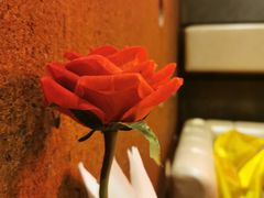 -尊品牛排(恒峰店)