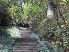 -梦姑塘文化公园