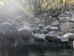 -徂徕山森林康养度假谷温泉