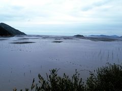 -北岐滩涂