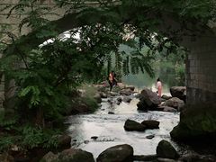 -重庆彩云湖湿地公园