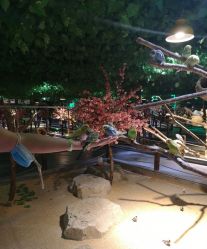 -酷嗒动物文化乐园(cutezoo西溪乐天城店)