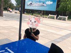 -南戴河国际娱乐中心