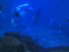 -福州罗源湾海洋世界旅游区