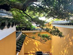 -普陀山慧济禅寺