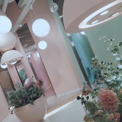 -好看加白色房子