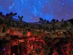 -郑州方特梦幻王国