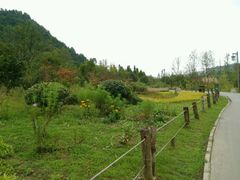 -贵阳市花溪国家城市湿地公园