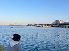 -巧克力渔家.小船海鲜胶东菜(万平口店)