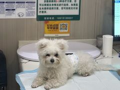 -佑安动物医院·全科·内窥镜中心(幸福巷店)