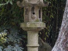 -复旦大学附属华山医院(总院)