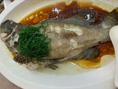 -聚彩居三和酒楼•老字号粤菜(南城店)