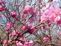 -哈尔滨文化公园