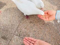 -海合安武汉极地海洋公园