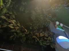 -湘当爱·鲜煮现炒(松岗立业路店)
