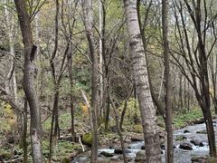 -玉渡山自然风景区
