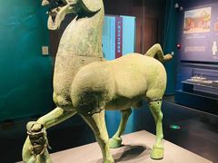 -广西壮族自治区博物馆