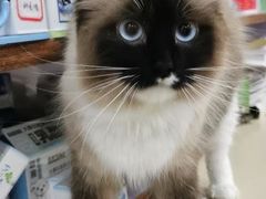 -佳雯宠物医院(四明中路分院)