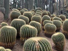 -南山植物园