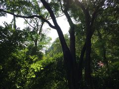 -宝晶宫旅游景区