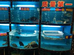 -上海阿潘舟山海鲜店(东宝兴路店)