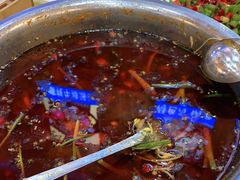 -乡土特色.冷锅鱼.牦牛肉汤锅