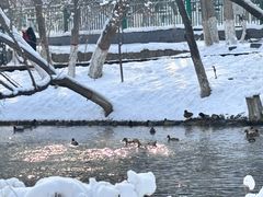 -水磨沟公园