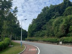 -火炉山森林公园