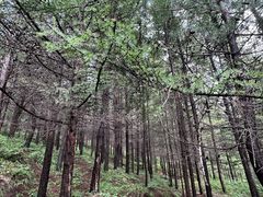-灵山