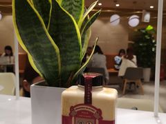 -奈雪的茶(新天地广场PRO店)