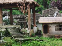 -黔灵山公园