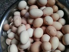 -姐妹食尚朴宿