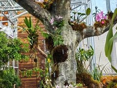 -国家植物园南园