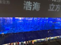 -成都浩海立方海洋公园