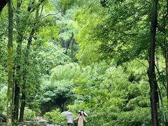 -仙霞关景区